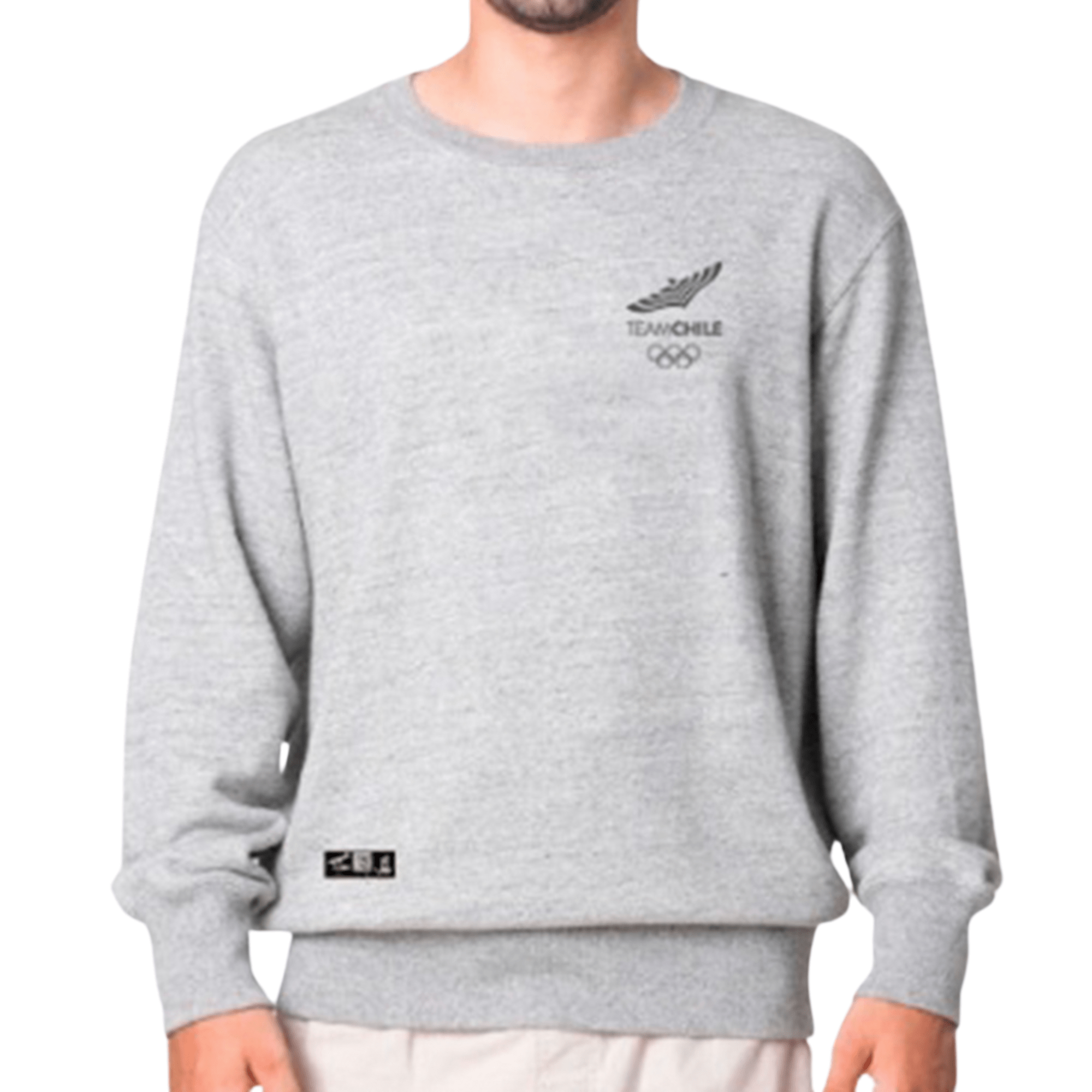 POLERÓN GRIS POLO TEAM CHILE CON ÍCONO DUPU - Tienda Oficial