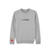 POLERÓN GRIS POLO TEAM CHILE DUPU - Tienda Oficial