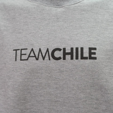 POLERÓN GRIS POLO TEAM CHILE CON ÍCONO DUPU