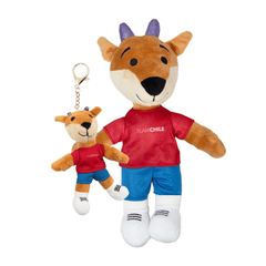 PACK KIDS FAN - Tienda Oficial
