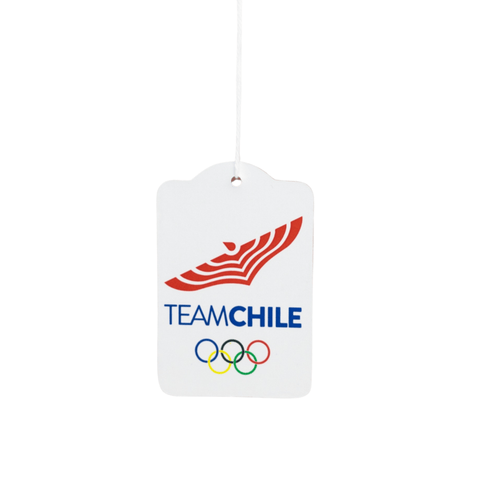 Colgante Automóvil Team Chile y Dupu - Tienda Oficial